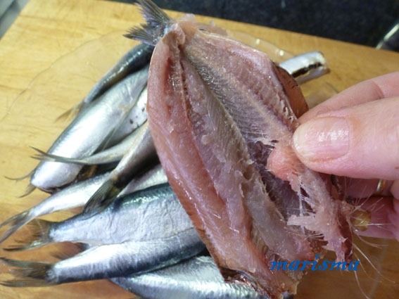 [sardinas%2520rebozadas3%2520copia%255B4%255D.jpg]