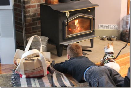 Dakota and Whiskey laying in front of wood stove