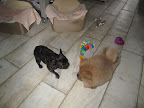 I'm sure your bed is just as comfortable as mine.  It's just that I'm a purist and I only like fancy Frenchie perfume.