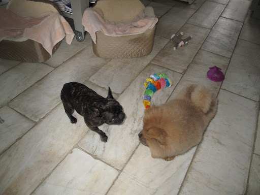 I'm sure your bed is just as comfortable as mine.  It's just that I'm a purist and I only like fancy Frenchie perfume.