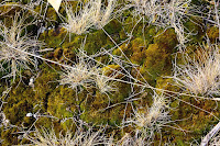 Slovensky-kras-Jasovska_planina-03.jpg Photo Slovensky-kras-Jasovska_planina-03.jpg Photo