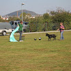 IMG_3024.JPG
