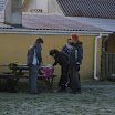 DSC08909.JPG