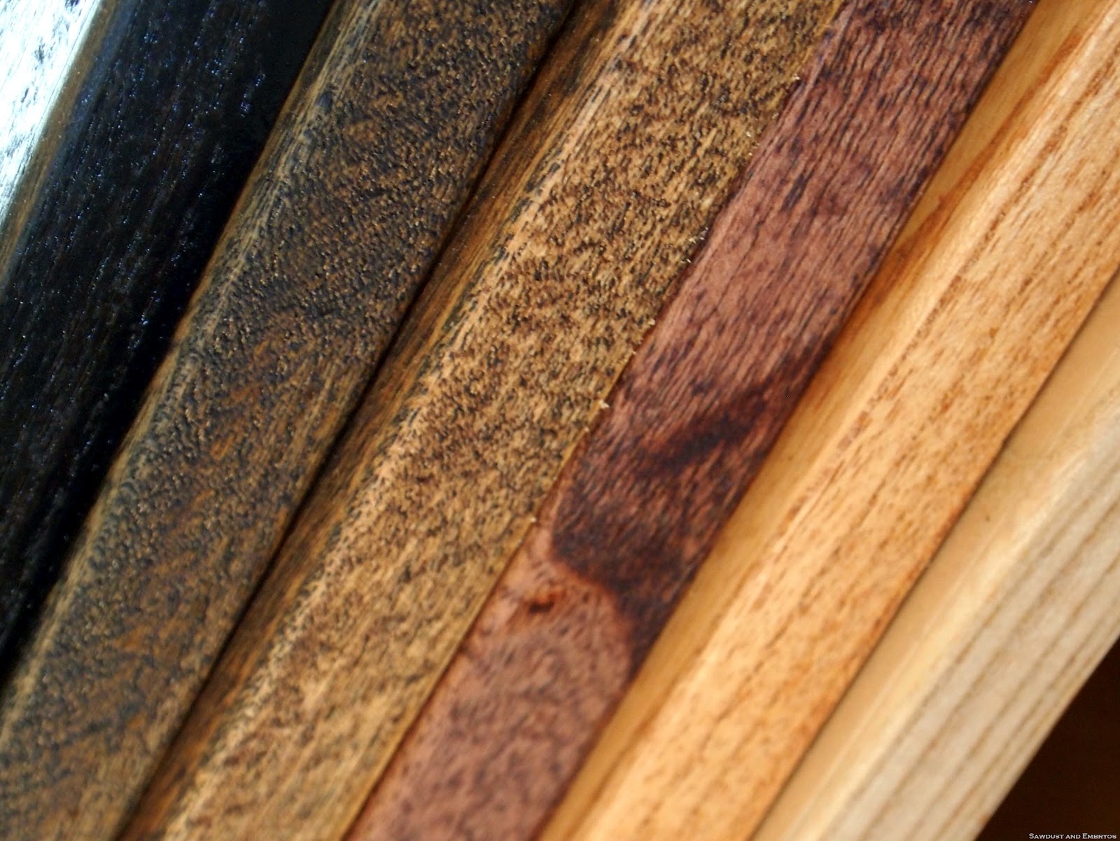 [P8141497%255B3%255D.jpg]