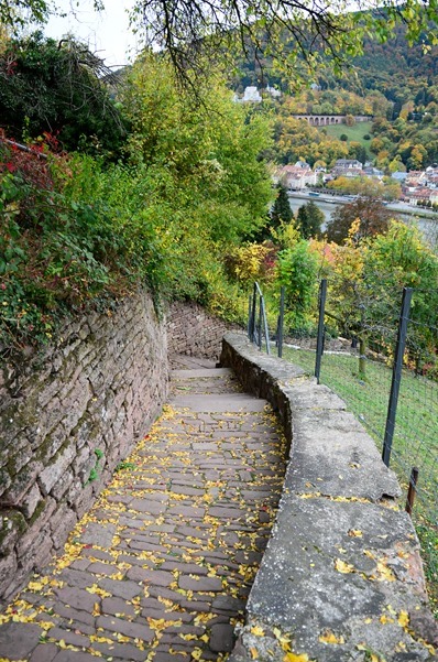 Heidelberg with G&G-6