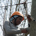 IMG_9334.JPG
