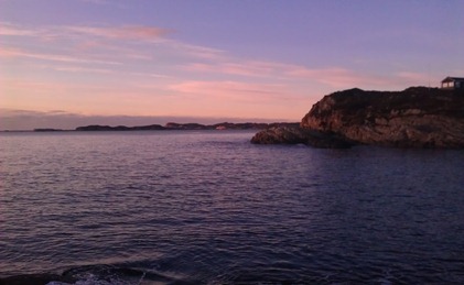 IMAG0212