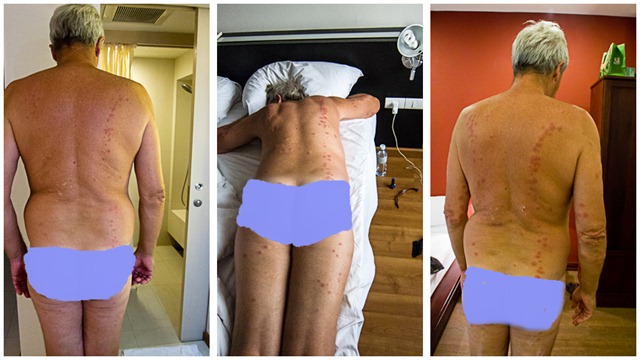 The-back-track---modesty- The-back-track---modesty-