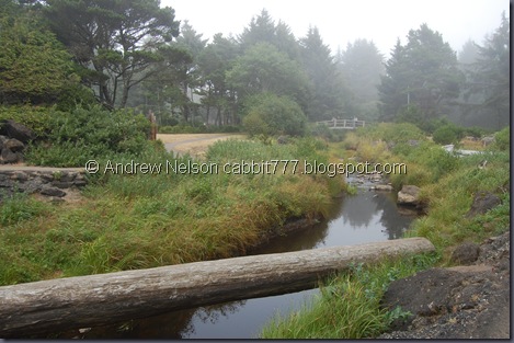 DSC_0929 DSC_0929
