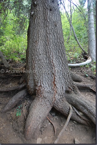 DSC_0057 DSC_0057