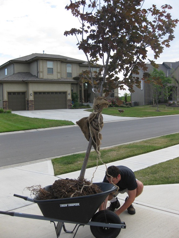 [IMG_8112%255B4%255D.jpg]