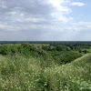 Park Narodowy "Ujście Warty": Rzeczpospolita Ptasia: rozlewiska dsc05820.jpg