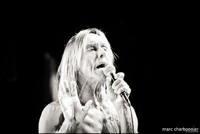 Iggy and the Stooges-14.jpg