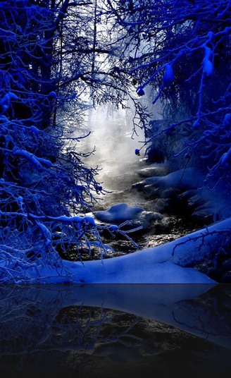 bluewhite bluewhite