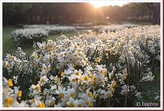 IMG_2290 IMG_2290