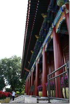 Beijing 2008 291