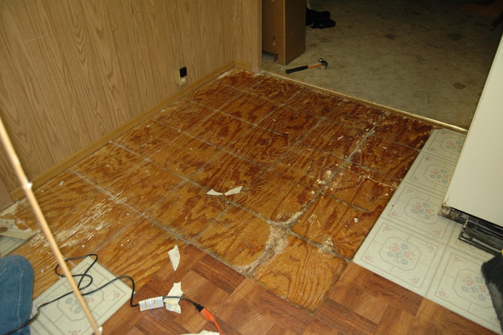 [the%2520floor%2520006%255B4%255D.jpg]