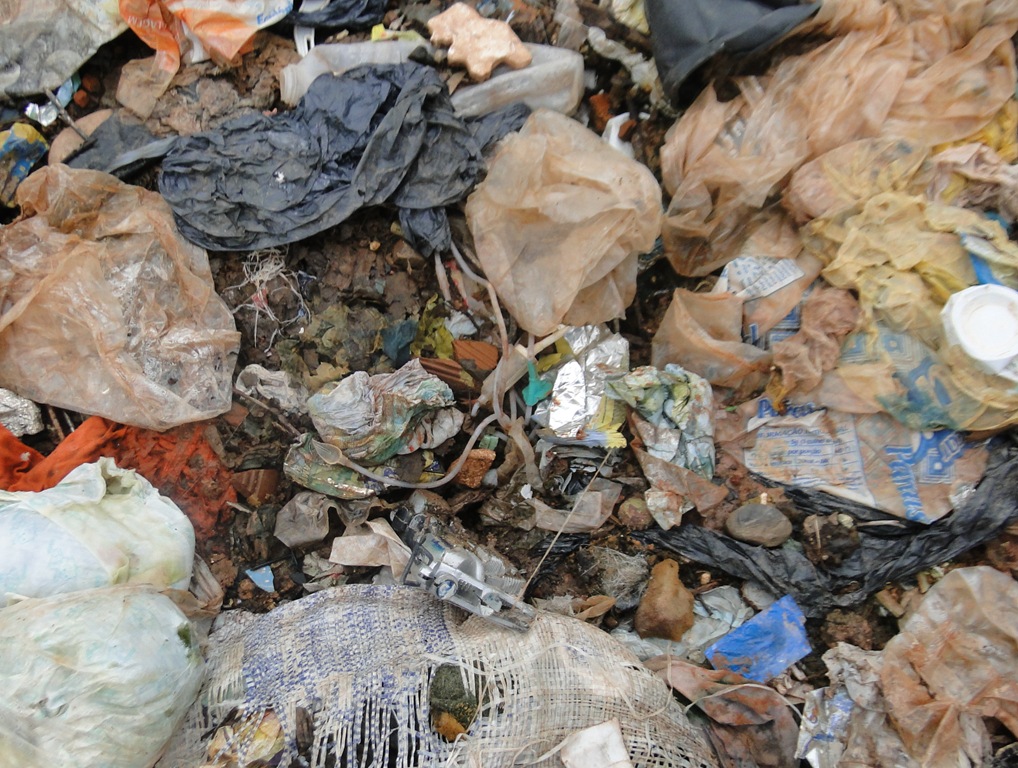 [DSC02411%255B8%255D.jpg]