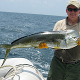 FishCatch FishCatch