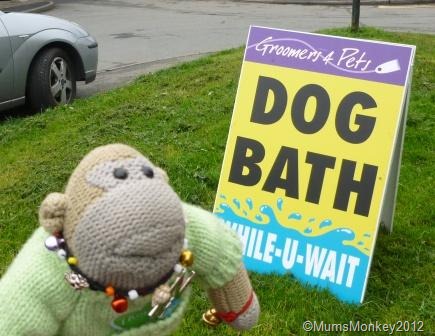 [Dog-Bath-While-You-Wait10.jpg]