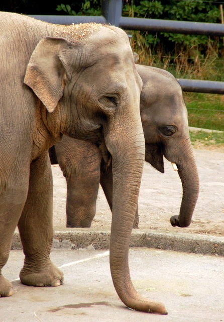 [DSC_6517%255B4%255D.jpg]