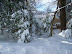 Snowpocalypse 2010
