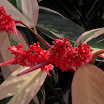 SDC10052_edited-1.jpg