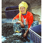 OLIVES~1.JPG