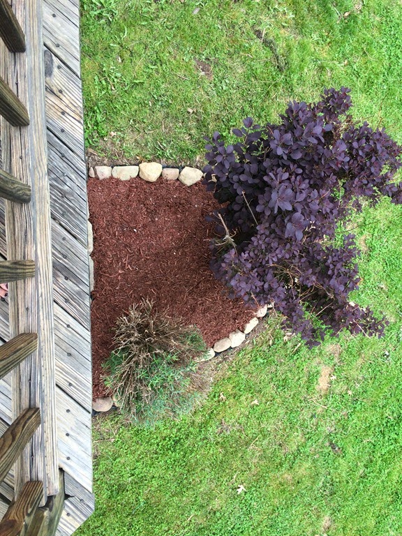 [IMG_1010%255B3%255D.jpg]