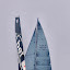 Palermo Montecarlo 2012 - Caramazza 018.jpg