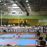 Vilniaus taurė 2009 m.