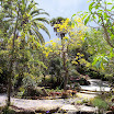 FL 2009 American Orchid Society (141).JPG