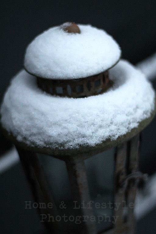 [IMG_6301a3.jpg]