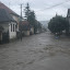 arviz2005_12.jpg