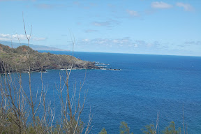 DSC_0042.JPG
