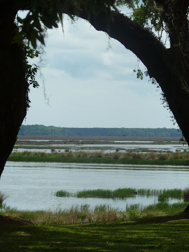 A view of the river. This was where the couple stood during the ceremony.