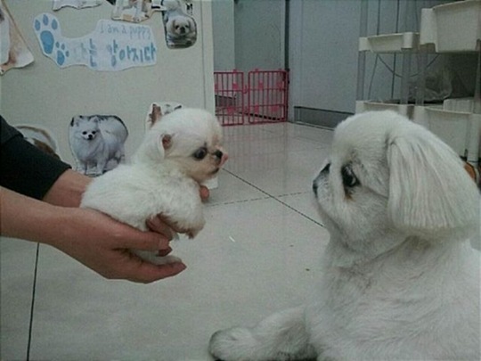 [viral-picdump-pics-fdf313%255B2%255D.jpg]