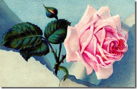 rosesewingad-graphicsfairy007