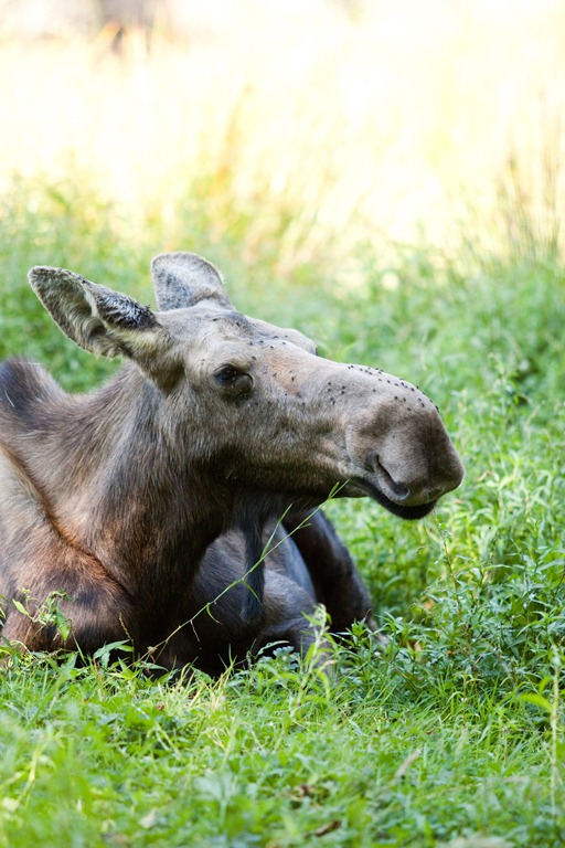 [20120903-IMG_9806%255B3%255D.jpg]