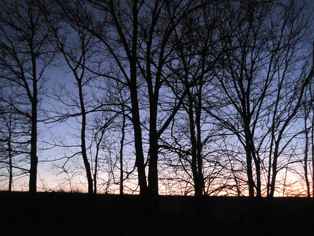 [IMG_8799%255B4%255D.jpg]