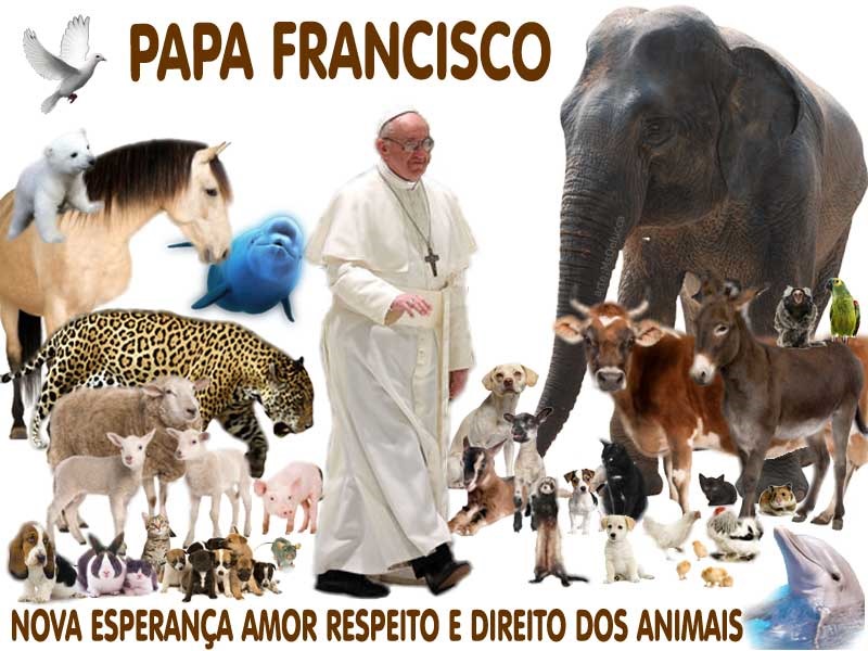 [papa_francisco_animais%255B3%255D.jpg]
