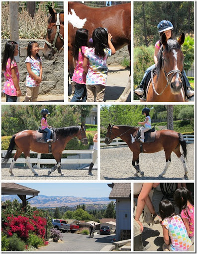 Horseback Riding Lessons Queens Nyc
