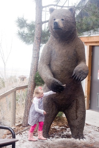 03 28 13_soph bear