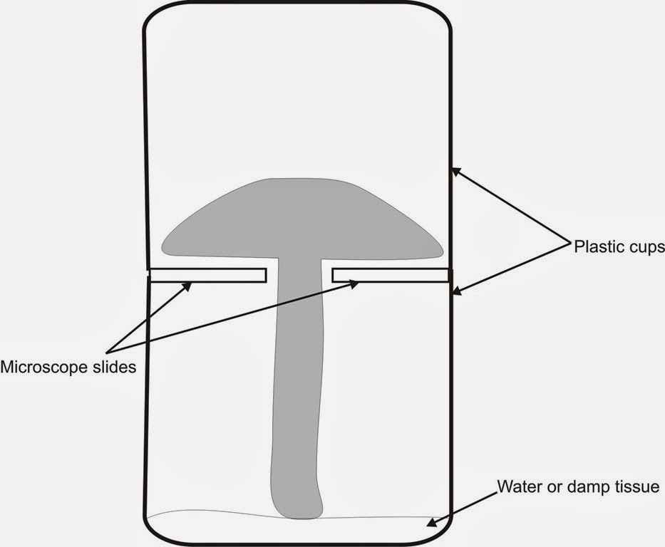 [Graphic1%255B5%255D.jpg]