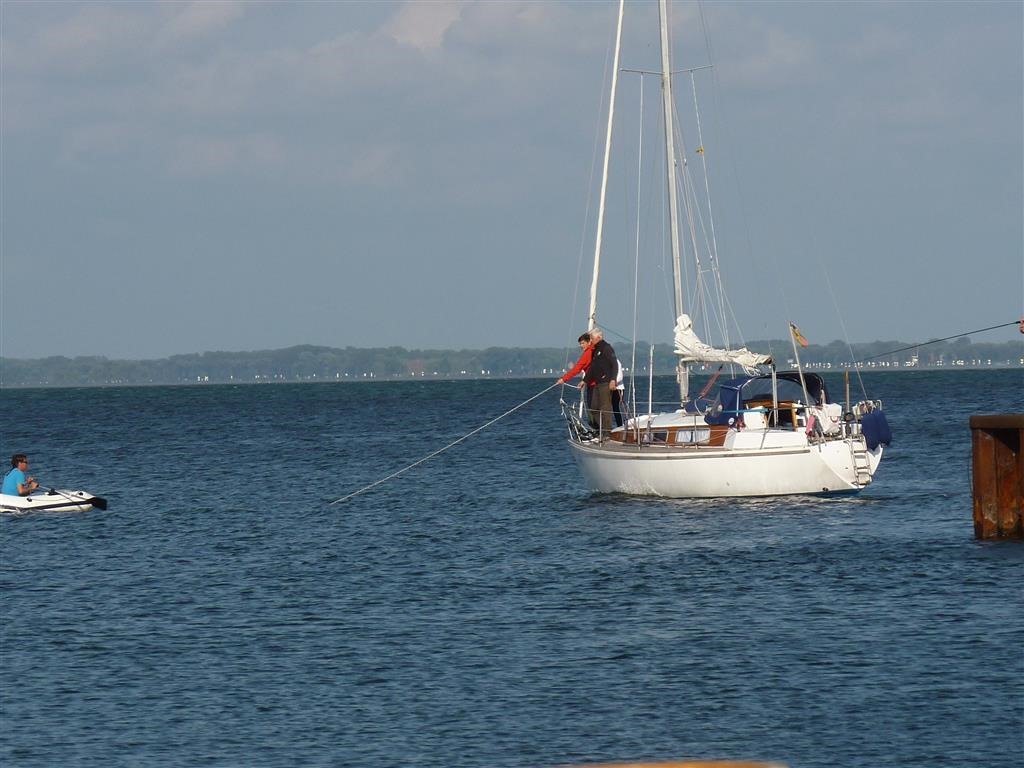 [P1030679-Medium3.jpg]