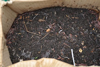 pinoyecofarm vermicomposting seminar _0033.JPG