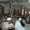 DSC_9995.JPG