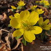 dsc07156.jpg