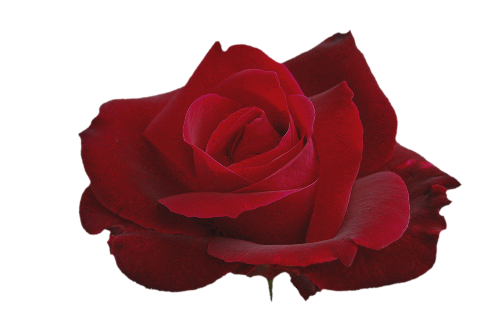 [04_peb_elem_valentine_2012%255B4%255D.png]