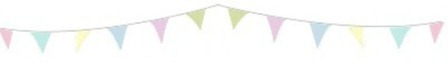 bunting bunting